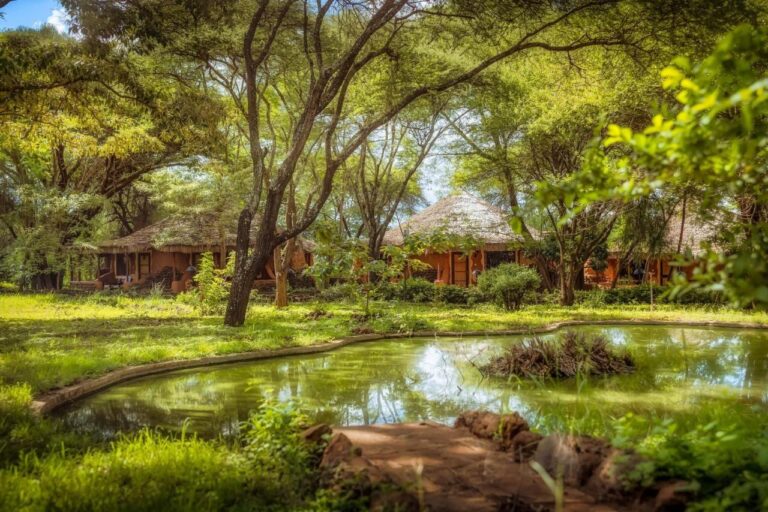 Ein Wasserbecken in einem Garten mit Akazien, vor Gebäuden mit Strohdächern