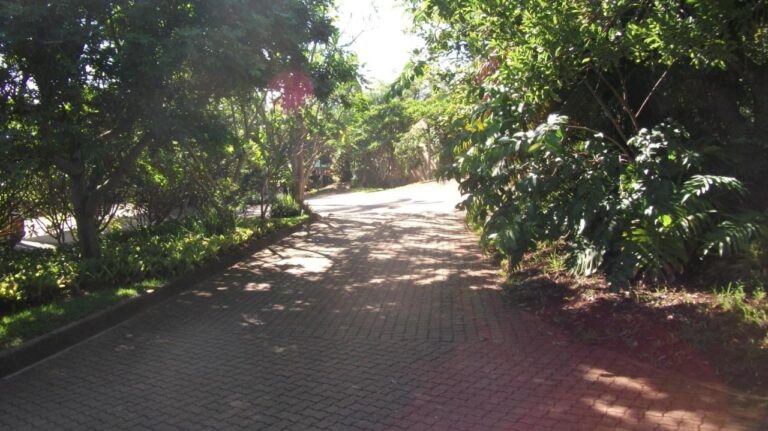 Ein gepflasterter Weg im Schatten der Bäume und Beete der Anlage