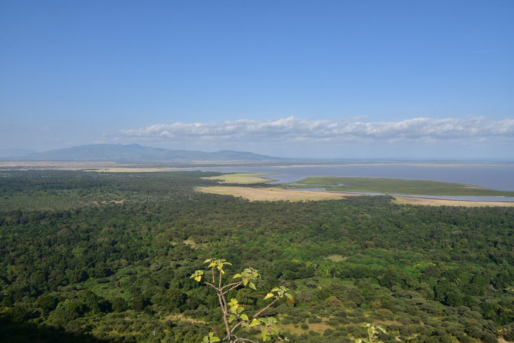 Blick von der Abbruchkante hinab auf den grünen Wald, die Ebene und den Manyara-See in der Ferne