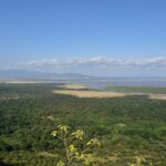 Blick von der Abbruchkante hinab auf den grünen Wald, die Ebene und den Manyara-See in der Ferne