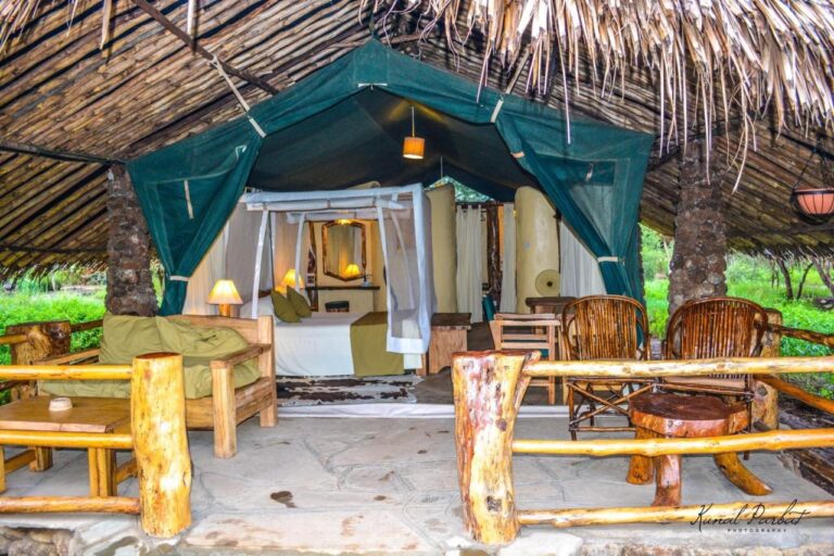 Der Eingang eines Zeltes des Kibo Safari Camps unter einem Strohdach, mit Terrasse und Holzsesseln