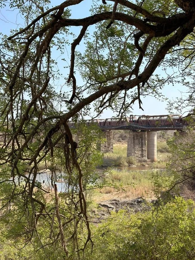 Die Selati-Brücke und der Zug zwischen den Ästen eines Baumes, über dem Fluss