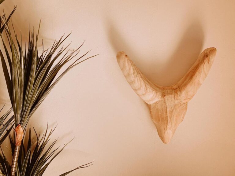 Eine Skulptur aus hellem Holz in Form von Hörnern an der Wand, neben einer Pflanze mit feinen Blättern