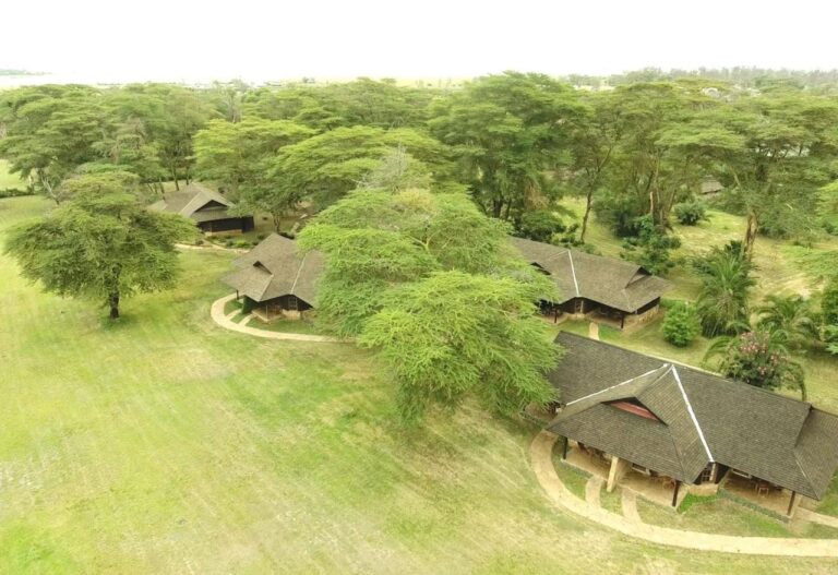 Die Strohdächer der Ol Tukai Lodge zwischen den Akazien im Amboseli-Nationalpark