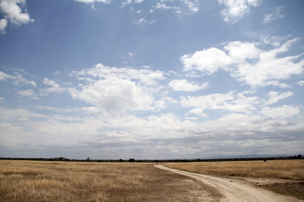 Eine helle Erdpiste führt durch eine Ebene mit trockenem Gras unter einem weiten blauen Himmel voller Wolken, einige Antilopen in der Ferne und Hügel am Horizont