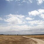 Eine helle Erdpiste führt durch eine Ebene mit trockenem Gras unter einem weiten blauen Himmel voller Wolken, einige Antilopen in der Ferne und Hügel am Horizont