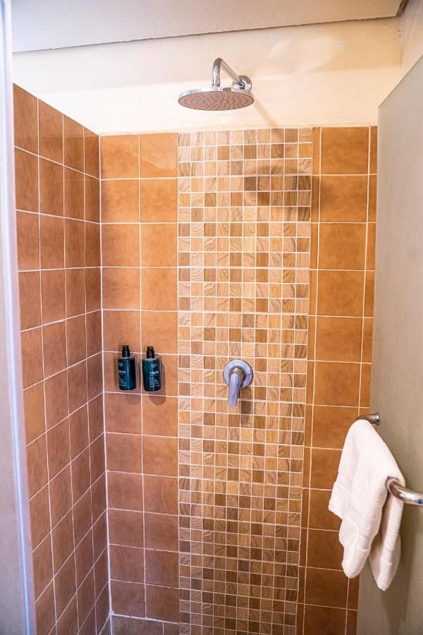 Eine braun geflieste Dusche mit Mosaikband, großem Duschkopf und zwei Seifenflaschen
