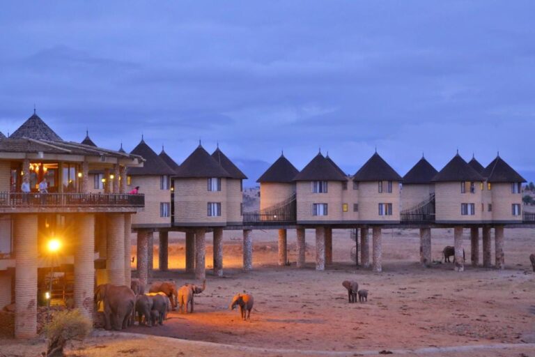 Elefanten am Fuß der Lodge in der Abenddämmerung, unter der beleuchteten Terrasse und der Reihe von Türmen auf Stelzen