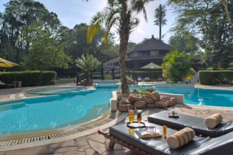 Der lagunenförmige Pool des Sarova Mara Game Camps rund um eine Felsinsel mit einer Palme