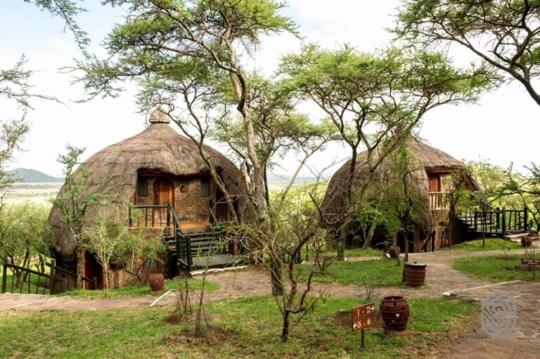 Zwei Rundhütten der Serengeti Serena Safari Lodge unter ihren gewölbten Strohdächern, zwischen Akazien