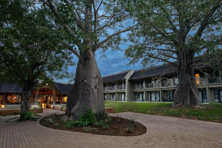 Zwei Baobabs im gepflasterten Hof der Skukuza Safari Lodge, vor den Zimmerflügeln, in der Abenddämmerung