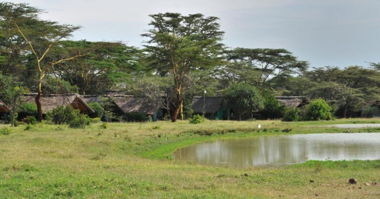 Eine Wasserstelle in der Wiese, vor den Zelten des Sweetwaters Serena Camps zwischen Akazien