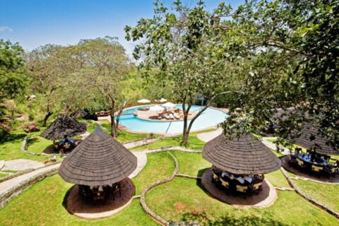 Der Pool der Tarangire Sopa Lodge und seine Strohschirme, mitten zwischen den Bäumen