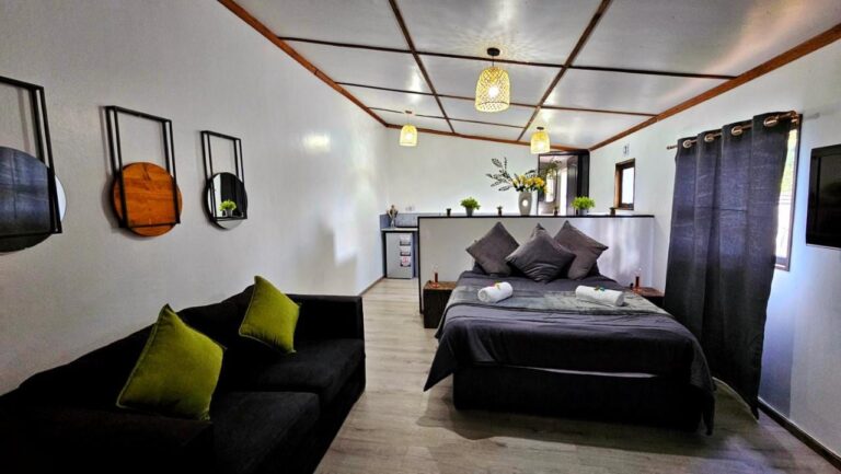 Ein Studio mit schwarzem Sofa und grünen Kissen, großem grauem Bett und hinten der Küchenzeile hinter einer halbhohen Mauer