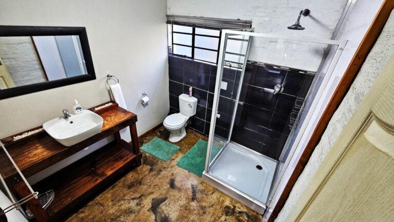 Ein Bad mit Glasduschkabine, WC und einem Aufsatzwaschbecken auf einem Unterschrank aus dunklem Holz