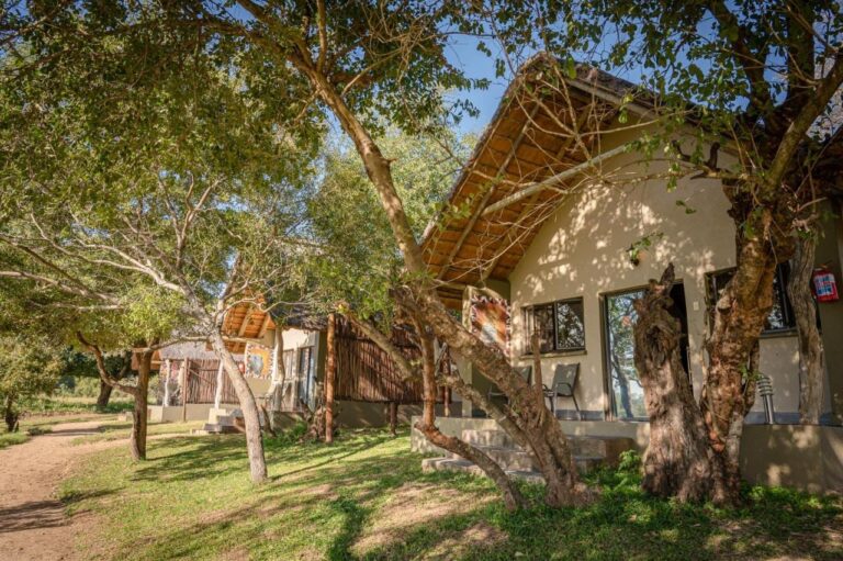 Chalets mit Strohdach unter den Bäumen, an einem Sandweg