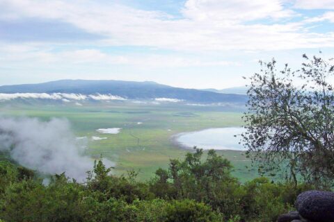 Der grüne Kraterboden vom Rand aus gesehen, mit dem Magadi-See und Wolken an den Kraterwänden